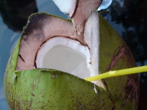A coconut a day, keeps the doctor away