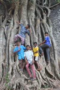 Kovai Kutralam Boys Baum