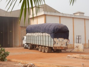 Ein LKW beladen mit Baumwolle