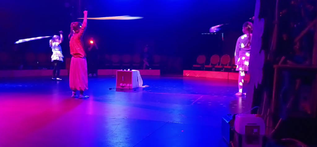 Arbeit im Zirkus