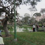 Einer unserer Lieblingsparks hier in Lima