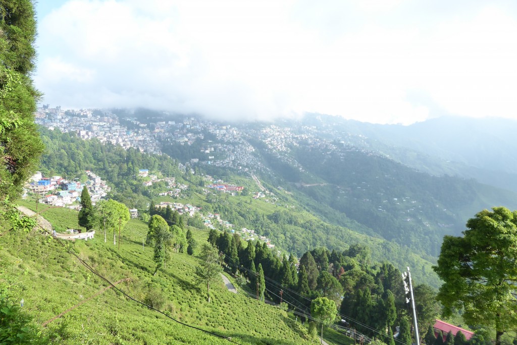 Darjeeling - eindeutig auf Wolke 7!!