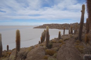 Die Isla de Incahuasi, die sich inmitten des Salar de Uyunis erhebt